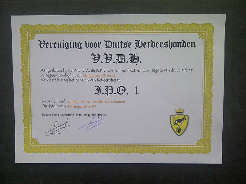 Camagurka von Schörner's Schmiede IPO 1