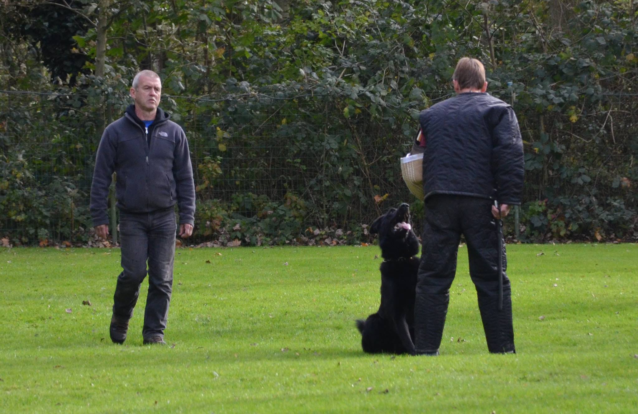 Camagurka von Schörner IPO 3