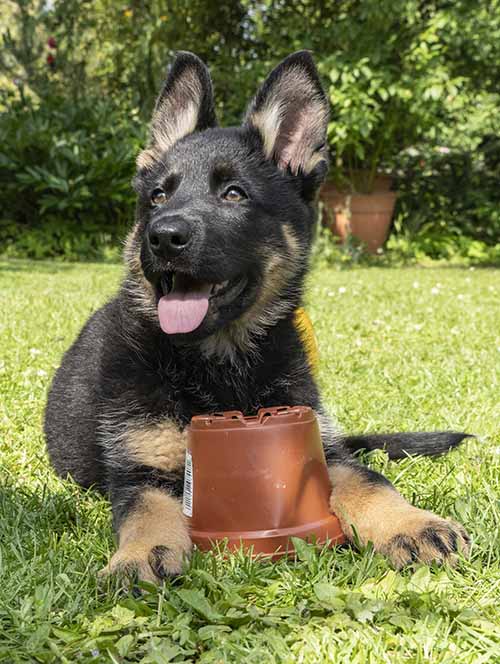 04.06.2019 Frija von Schörner's Schmiede