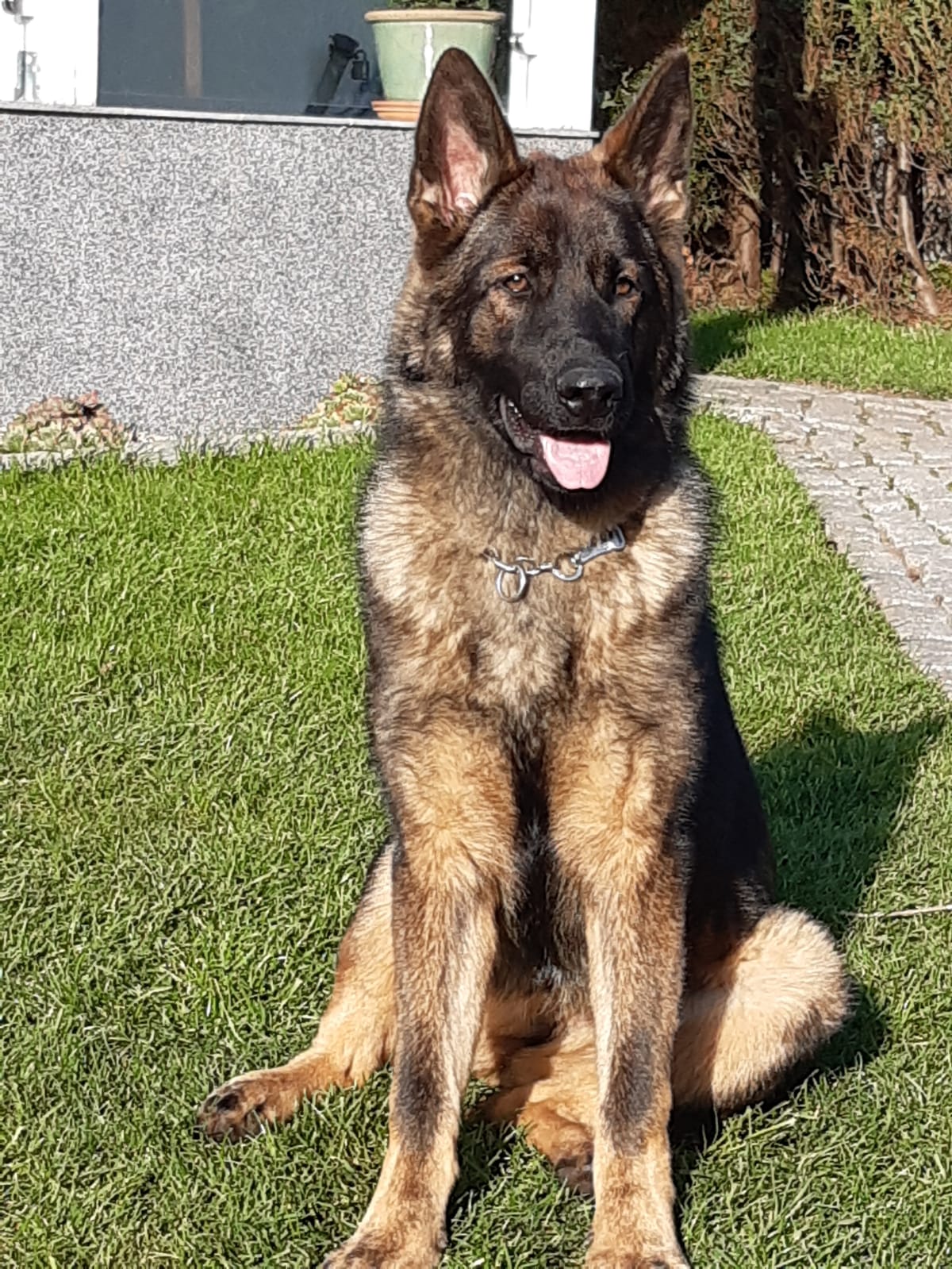 Gina von Schörners Schmiede 2019 11 12 at 13.56.27