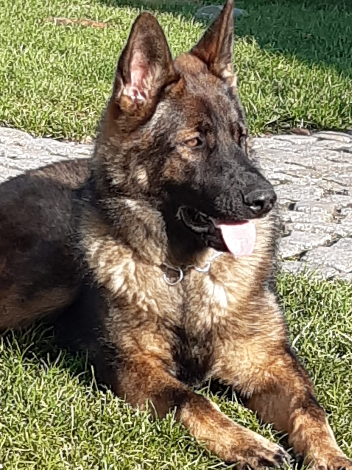 Gina von Schörners Schmiede 2019 11 12 at 13.56.29