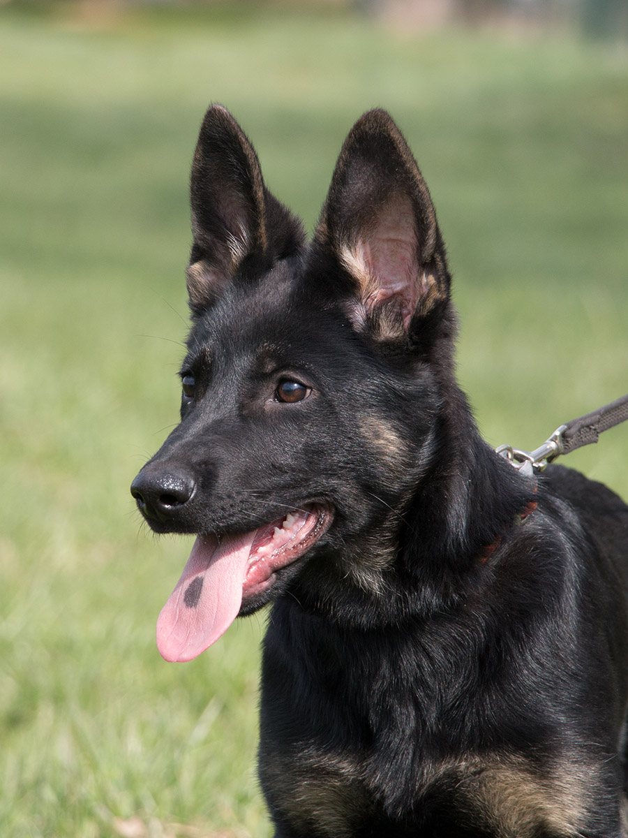 14.04.2022 Ilse von Schörner's Schmiede