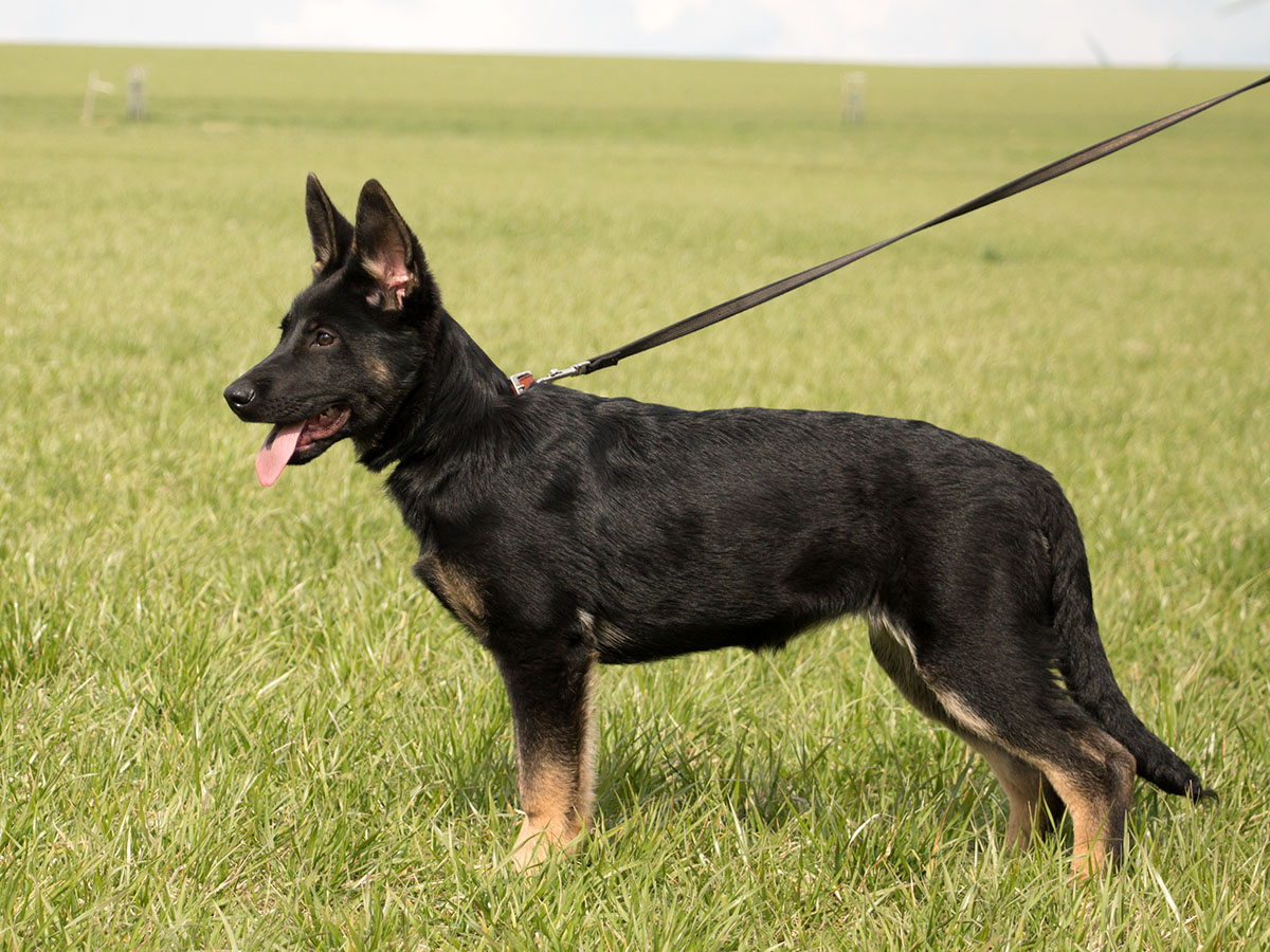 14.04.2022 Ilse von Schörner's Schmiede