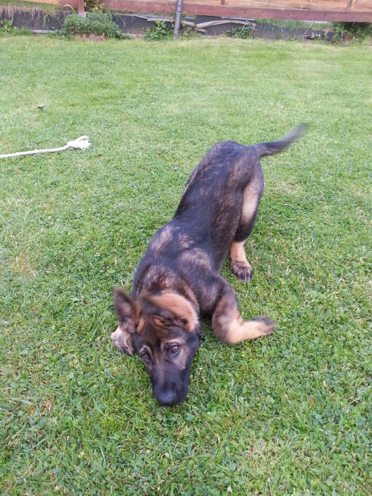 Enni von Schörner's Schmiede