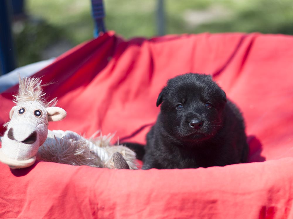 22.04.2019 030 H s 2